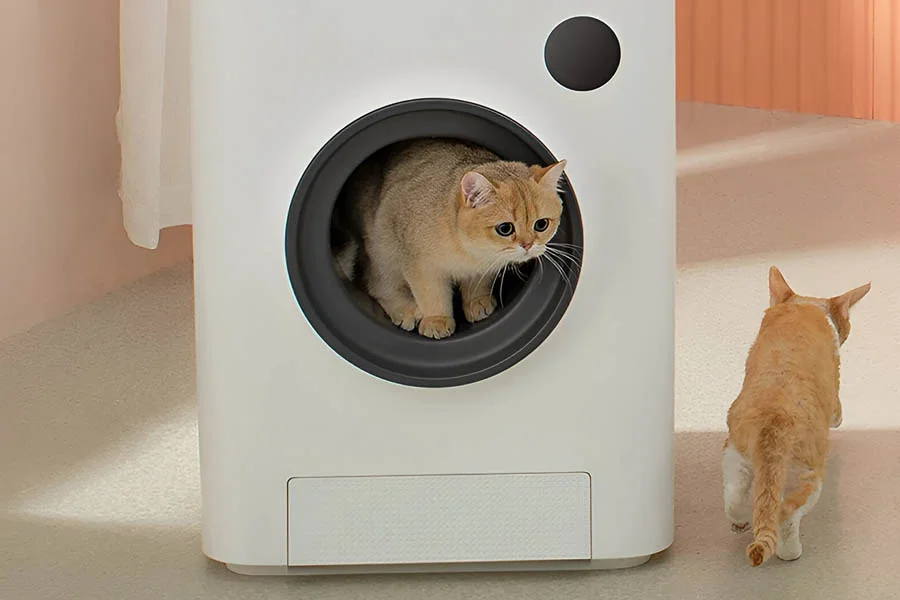 auto kitty litter box